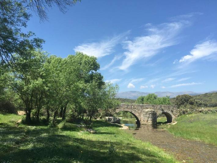 Resort para 4 personas, con vistas además de jardín y piscina, Se admiten mascotas en Provincia de Toledo - 2