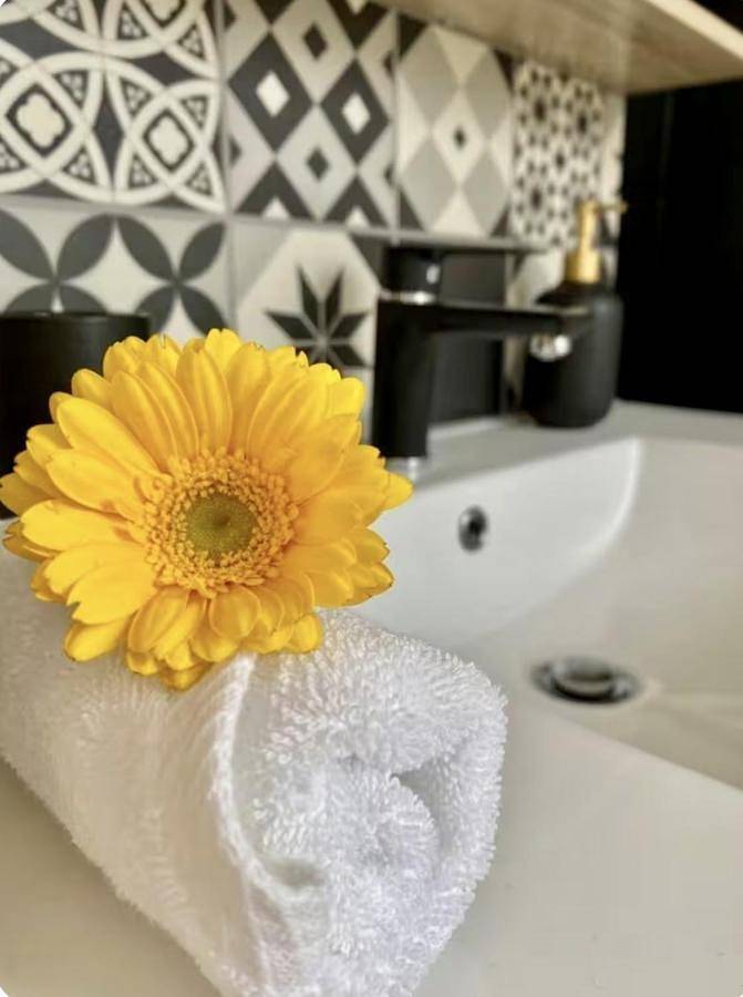 Gîte pour 4 personnes à Romorantin-Lanthenay - 4