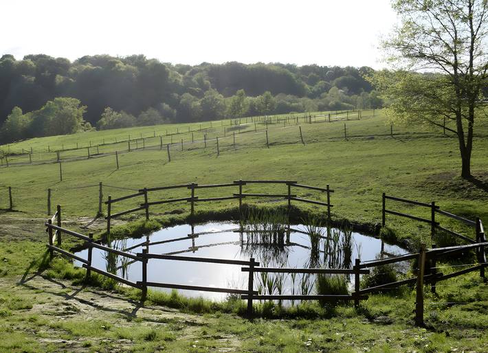 Ferienhaus für 4 Personen, mit Garten in Südfrankreich - 3