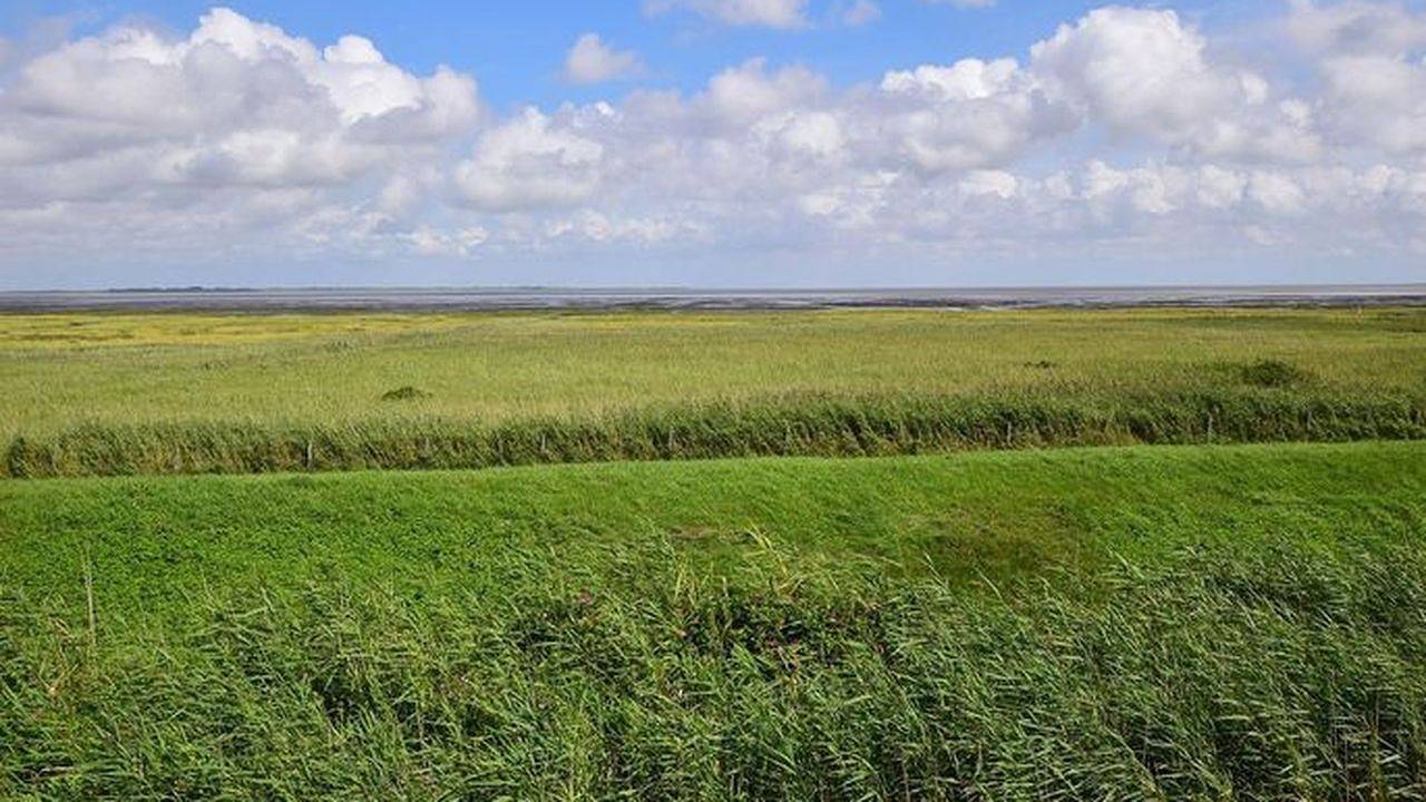 Ganze Ferienwohnung, Ferienwohnung für 2 Personen in Rantum (Sylt) in Rantum, Sylt (Gemeinde)