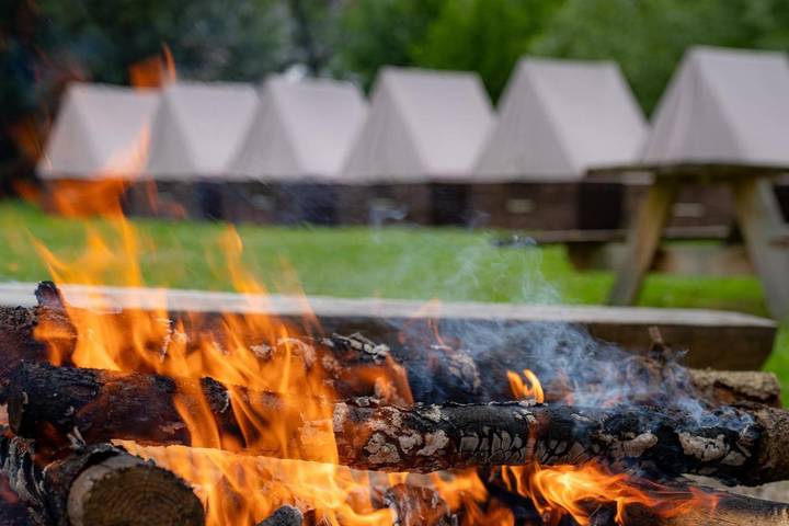 Kemping dla 14 osób, z widok, zwierzęta dozwolone w Morawy