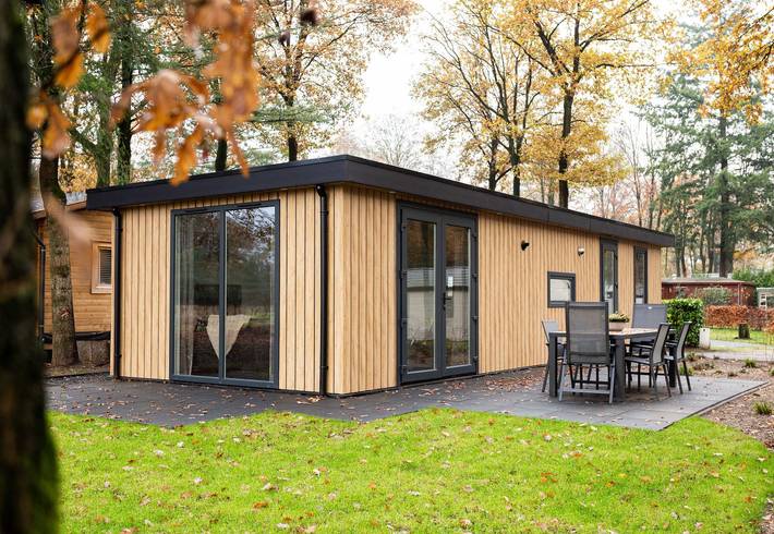 Maison de vacances pour 4 personnes dans Veluwe