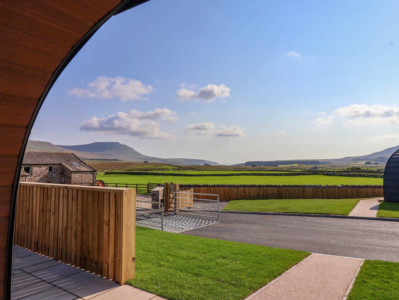 Wren in Yorkshire Dales National Park