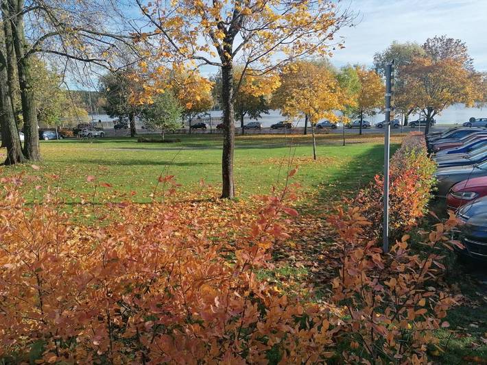 Ferienwohnung für 2 Personen, mit Garten und Ausblick - 1