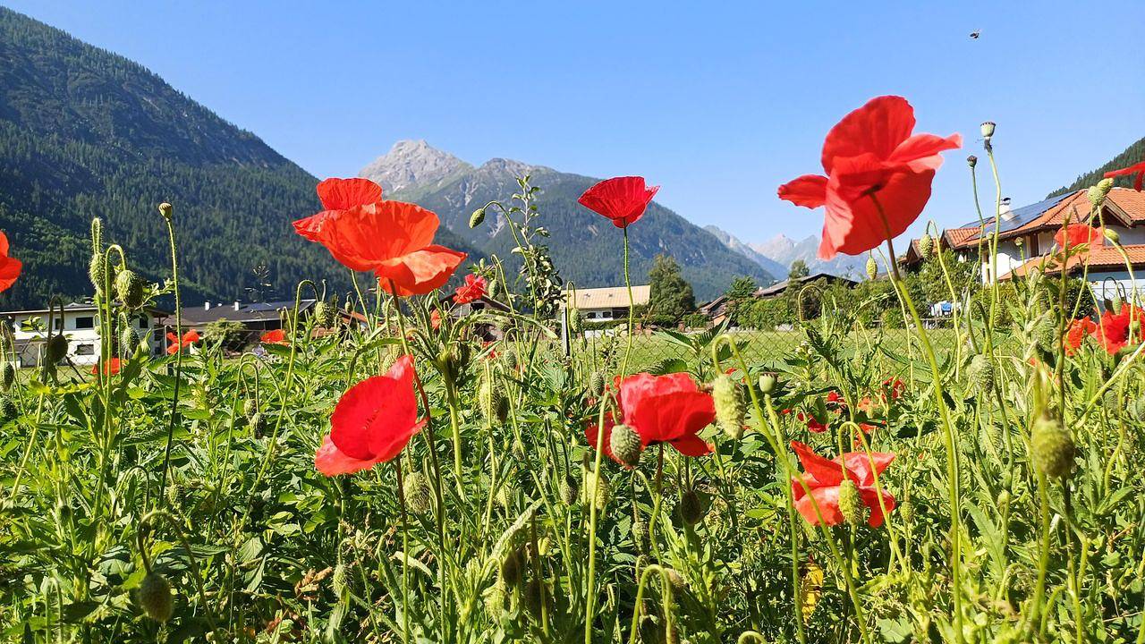 Appartement de vacances entier, Ferienwohnung für 4 Personen (50 m²) in Häselgehr in Häselgehr, Alpes d'Allgäu (Autriche)