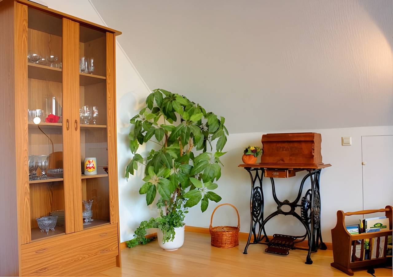 Ganze Wohnung, Ferienwohnung 'Wehrle' mit Gemeinschaftsgarten und Wi-Fi in Breisach am Rhein, Hochschwarzwald