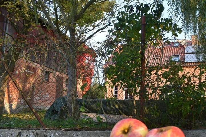 FeWo "Gravensteiner" im Bauernhaus - Ferienwohungen Liebisch in Oberuckersee, Barnimerland Region