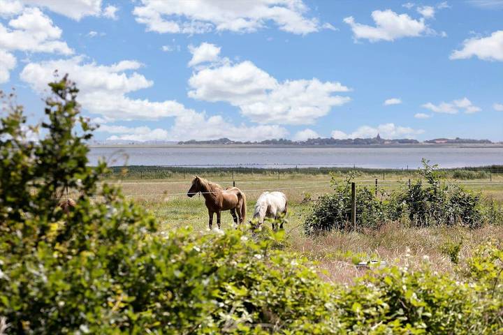 Ferienhaus mit Meerblick für 6 Personen, mit Terrasse auf Rømø - 2