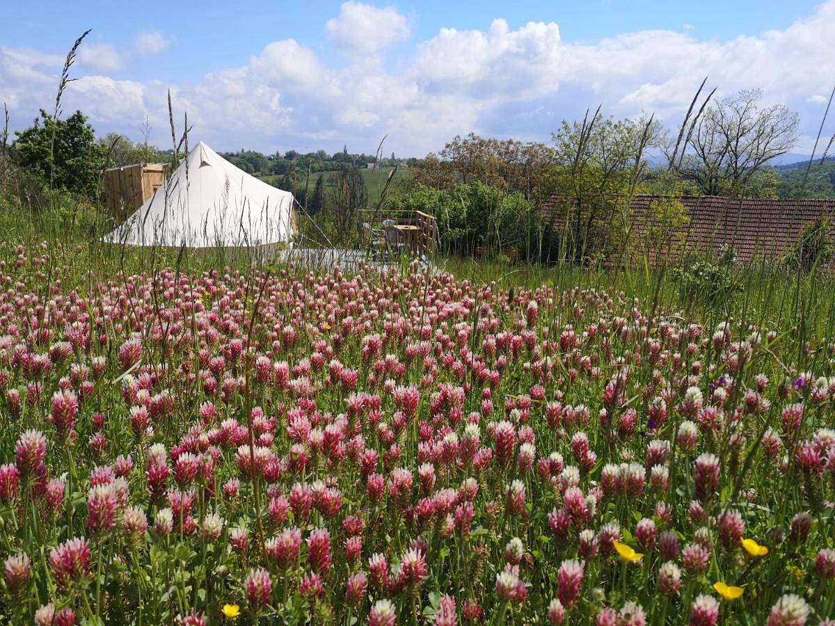 Tent in Molles, Région de Vichy
