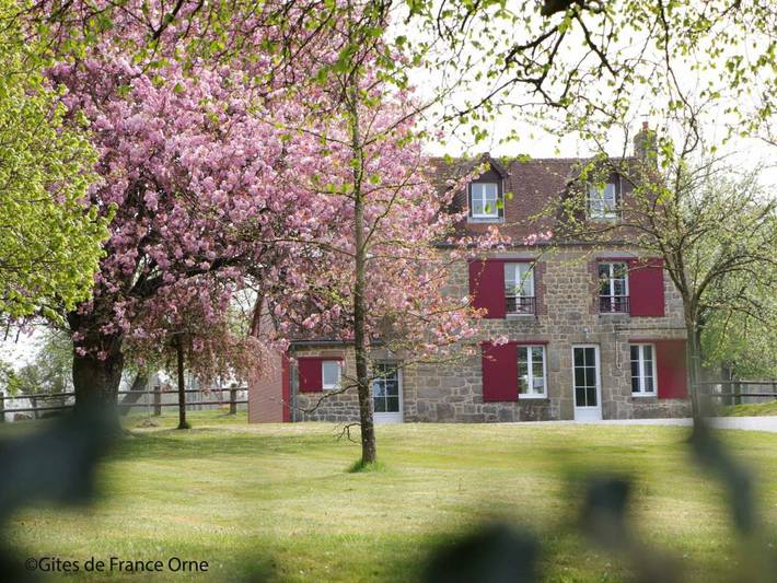 Gîte pour 8 personnes, avec terrasse et jardin dans Ménil-Gondouin