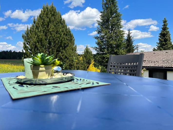 Location de vacances pour 4 personnes, avec jardin et vue à Schramberg - 2