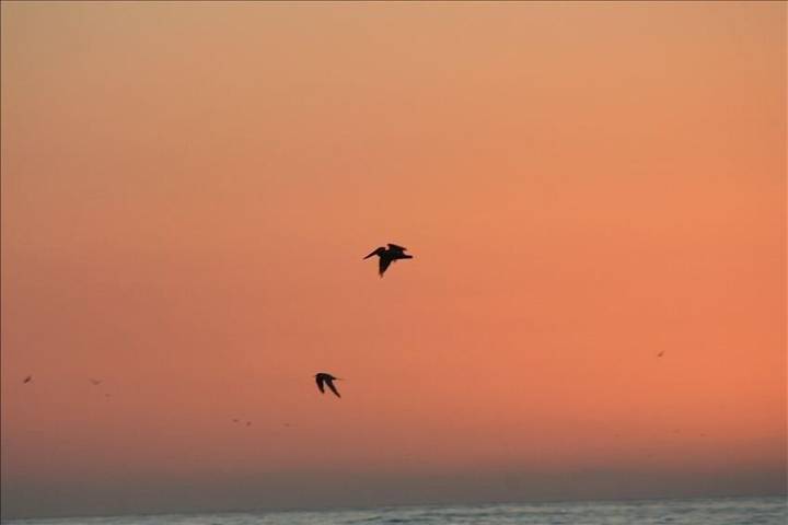Vacation rental for 2 people, with yard and terrace in Ocean Beach (CA)