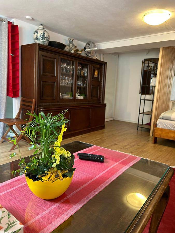 Ganze Wohnung, One-Bedroom Apartment in Waldshut-Tiengen, Südschwarzwald