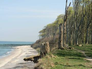 Ferienhaus für 8 Personen in Nienhagen, Rostock und Umgebung, Bild 3