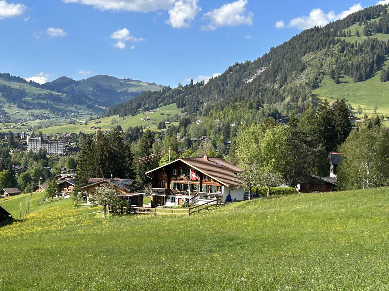 Appartamento intero, Alpenchalet Haldeli in Gstaad, Saanen