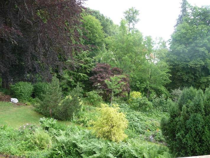 Ferienwohnung für 6 Personen, mit Terrasse und Ausblick in Bad Sachsa - 2