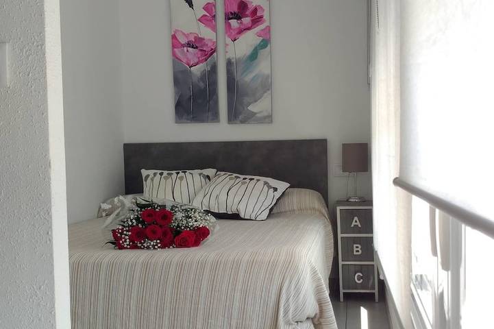 Appartement entier, Appartement Fantastique Loft Sur La Plage Avec Tous Les Services (WIFI, A / C) in Alacant, San Juan Playa