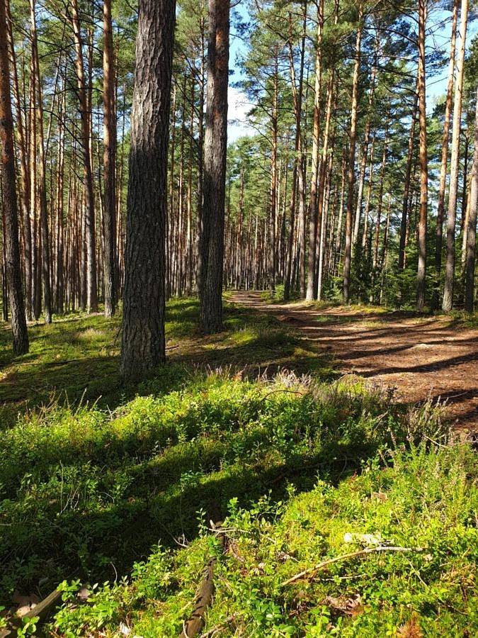 Osada nad Szumem in Roztocze