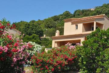 Cottage pour 5 personnes, avec balcon ainsi que jardin et piscine dans Plage de la Palombaggia