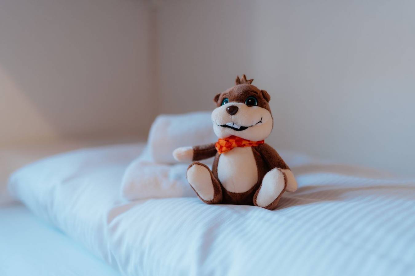 Ganze Wohnung, Apartment Perlita: Gemütliches Apartment mit Bergblick für die ganze Familie in Amden, Kanton St. Gallen