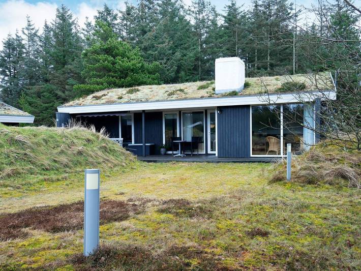 Feriehus for 6 personer, dyr tillatt i Blokhus