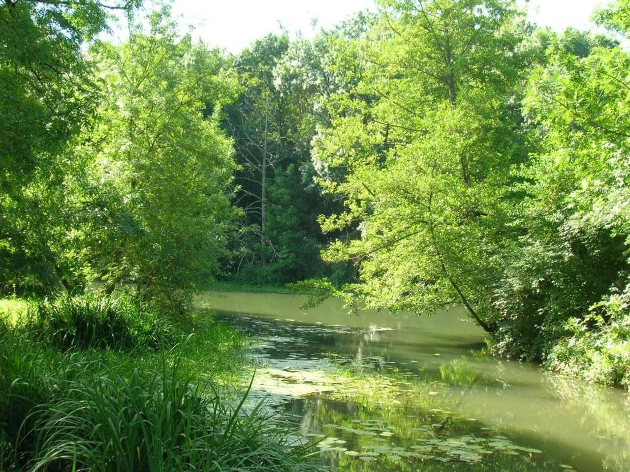 Well-maintained, linked holiday home with garden and terrace in Azay-le-Rideau, Valle del Loira