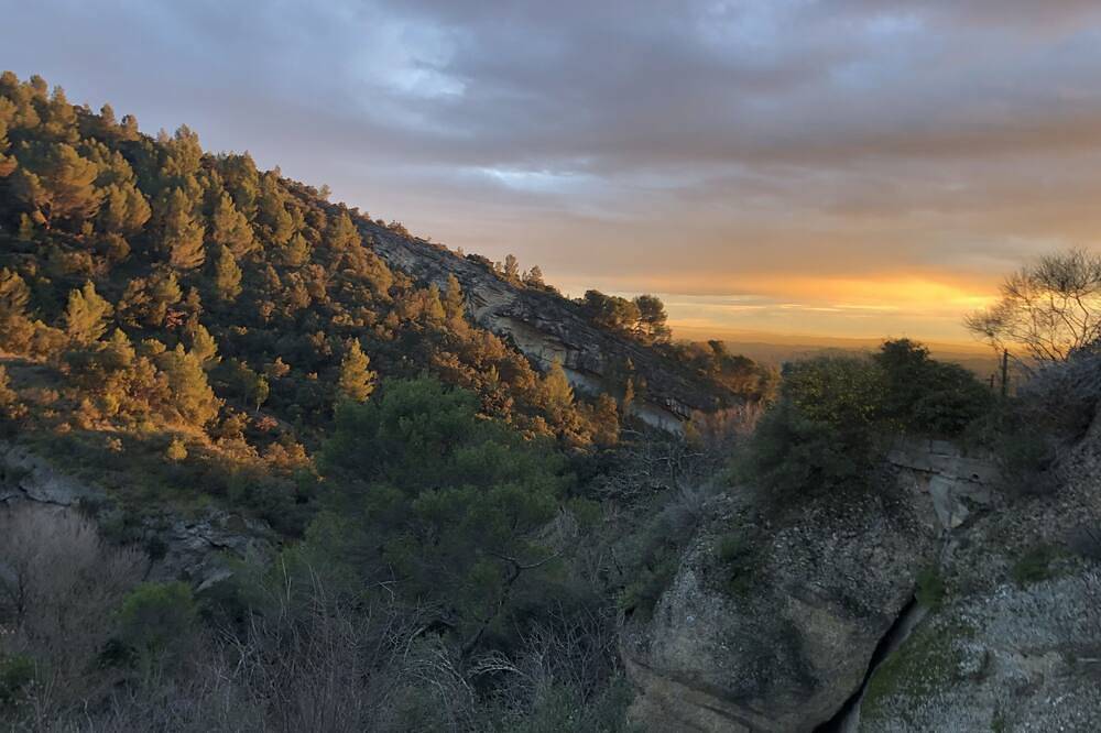 Location Avec Vue Exceptionnelle au Pied des Dentelles de Montmirail in Beaumes-de-Venise, Vaucluse