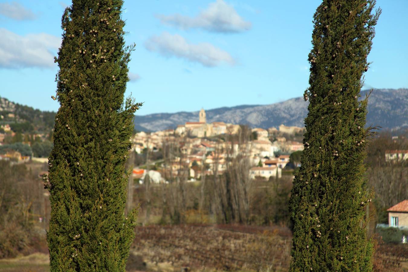 Le Vieux Chêne in Mormoiron, Parc naturel régional du Mont-Ventoux