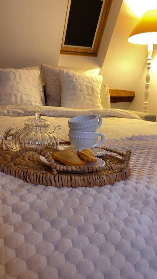 Appartement entier, La Perle Semuroise in Semur-en-Auxois, Région de Montbard