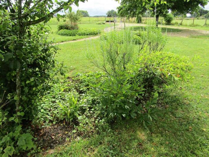 Location de vacances pour 6 personnes, avec jardin à Channay-sur-Lathan - 3