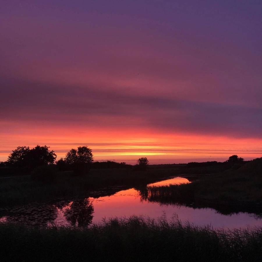 Bjerrumgaard bed and breakfast in Ribe, Wadden Sea National Park