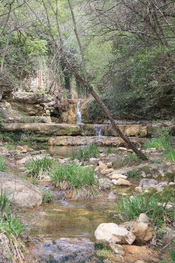 Le Therminus chambres d hôtes in Rennes-les-Bains, Parc naturel régional Corbières-Fenouillèdes