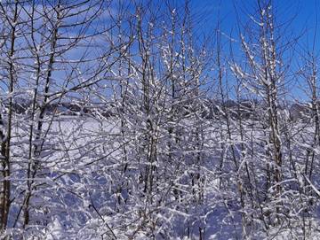 Ferienwohnung für 6 Personen in Oldeburg, Südbrookmerland, Bild 2