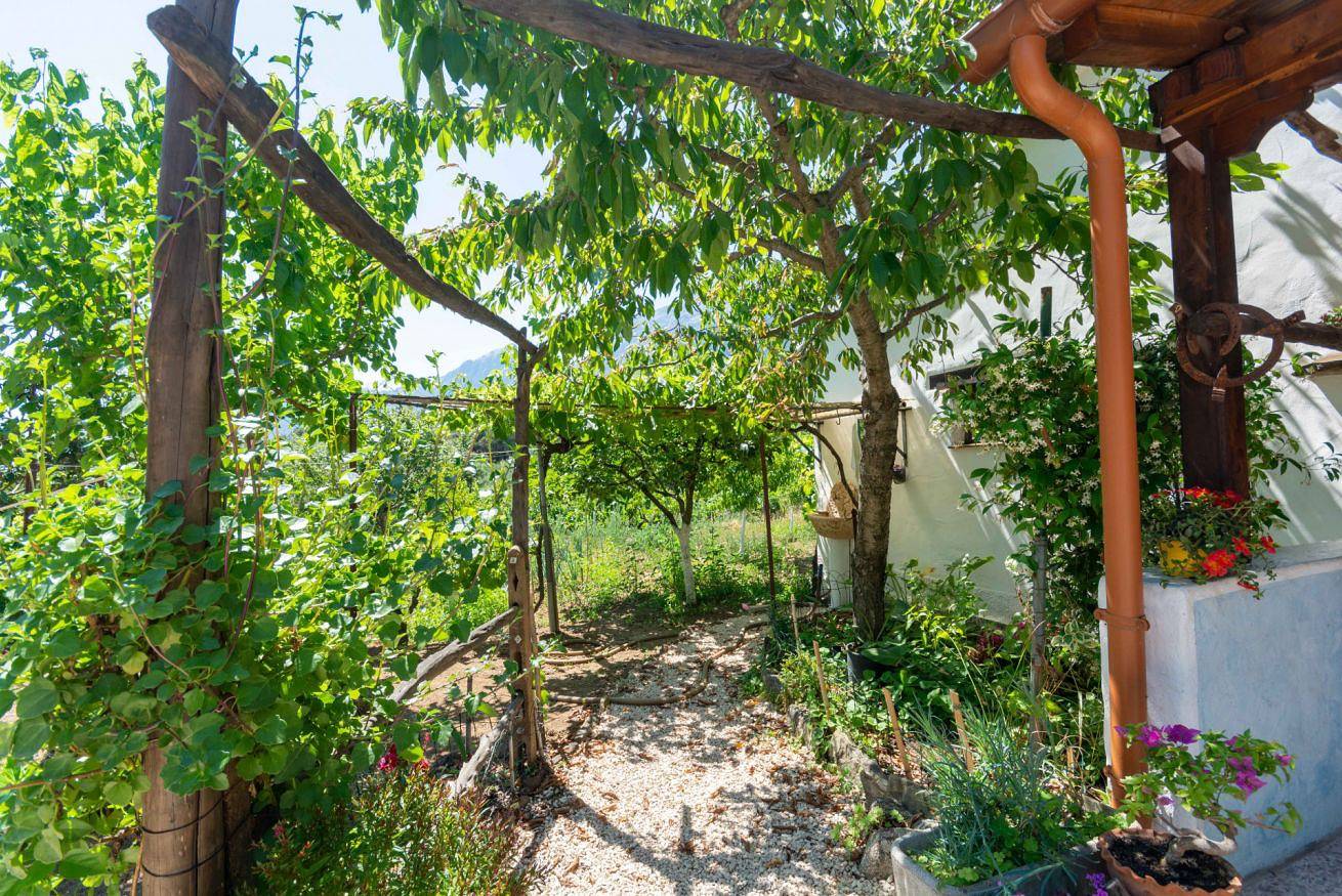 Appartement entier, Villa L'Oliveto dans la nature in Oliena, Barbagia