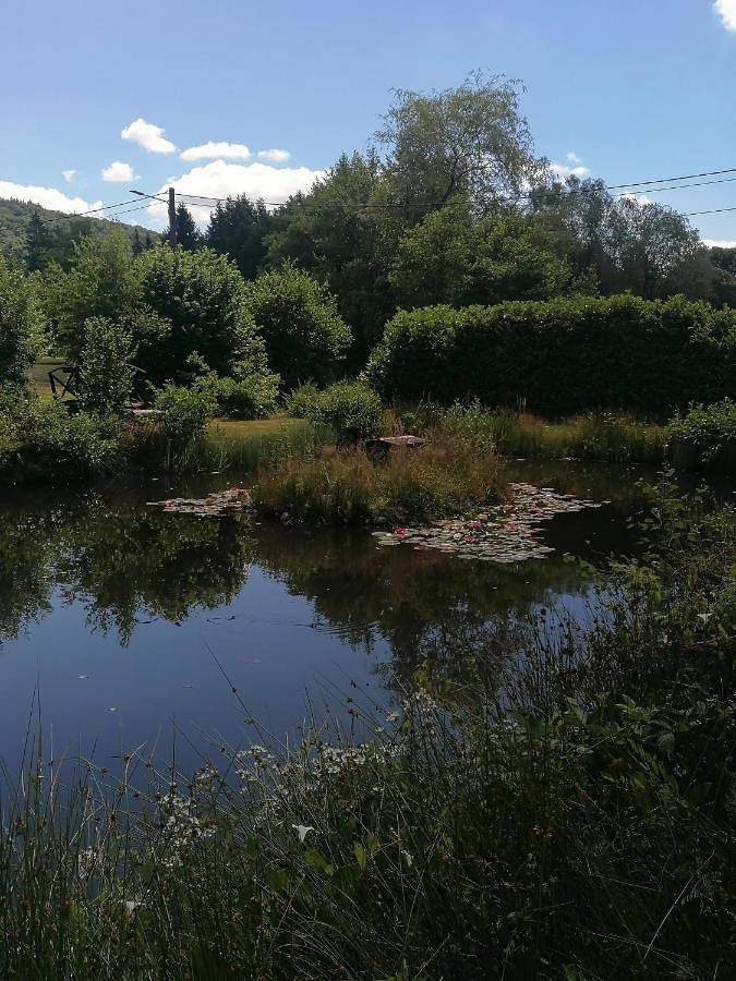 Location de vacances pour 4 personnes, avec vue et jardin à Raon-aux-Bois - 3