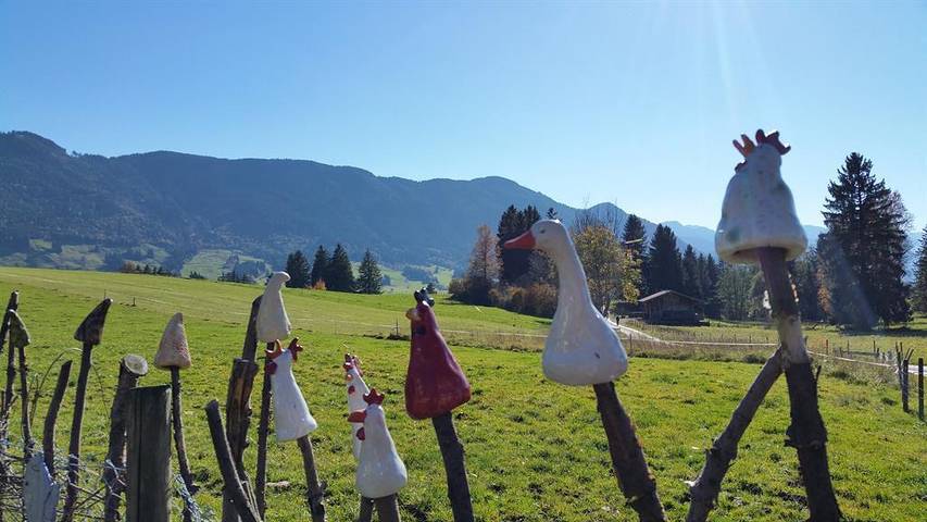 Ferienwohnung für 3 Personen, mit Balkon und Garten in Halblech - 2