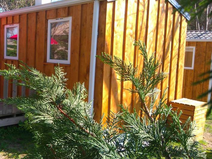 Mobil home pour 4 personnes, animaux acceptés à Pézenas - 3