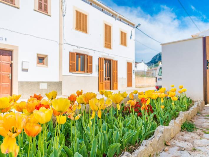 Holiday apartment for 6 people, with garden and terrace - 1