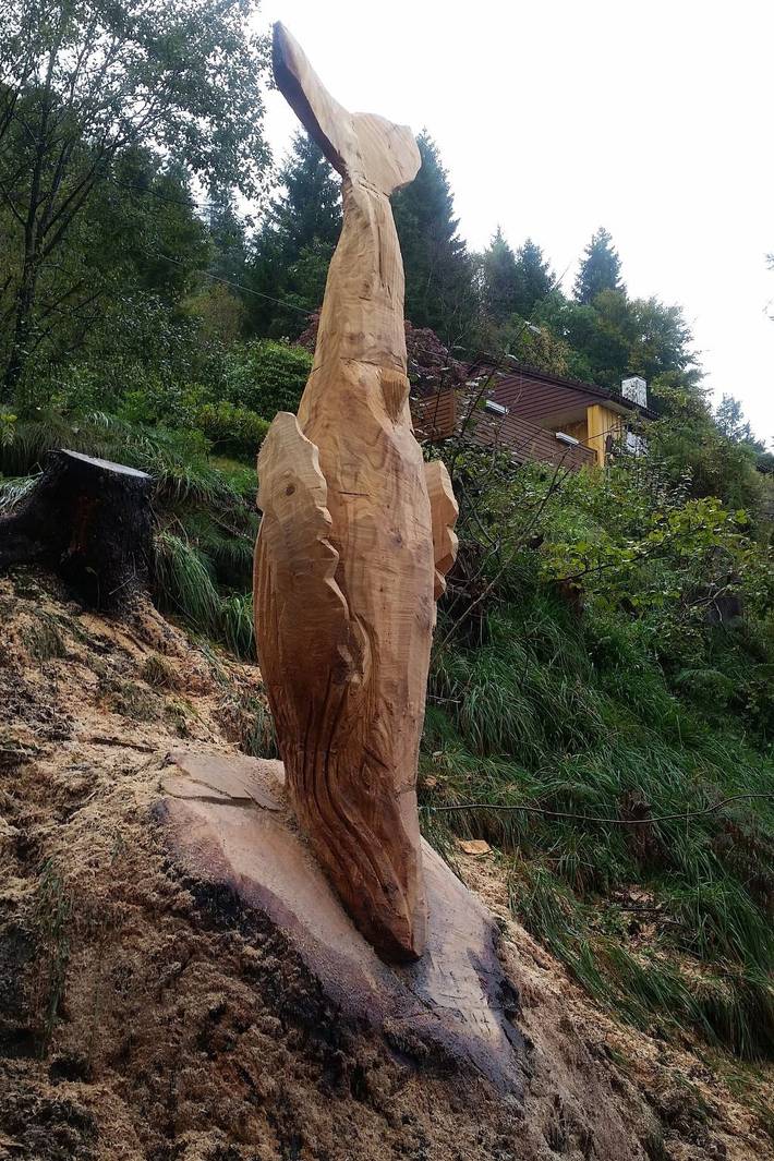 Ganze Wohnung, Fw Franzi in Os