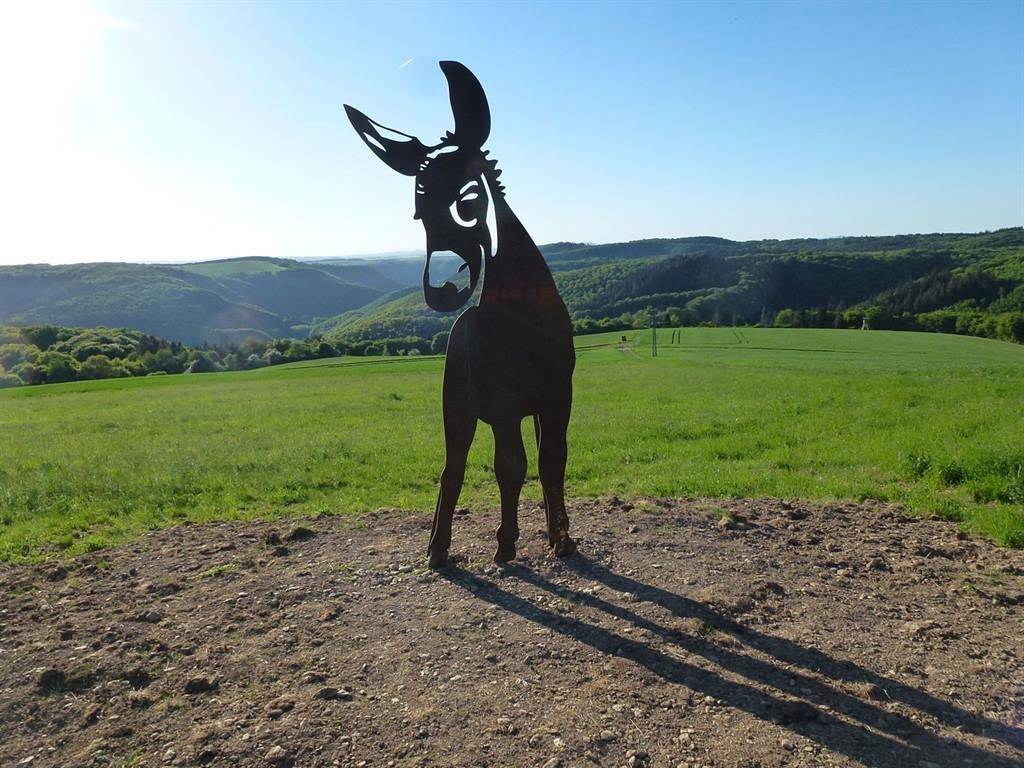 Ganze Ferienwohnung, Fewo " Am Murscher Eselsche" in Burg Eltz, Morshausen