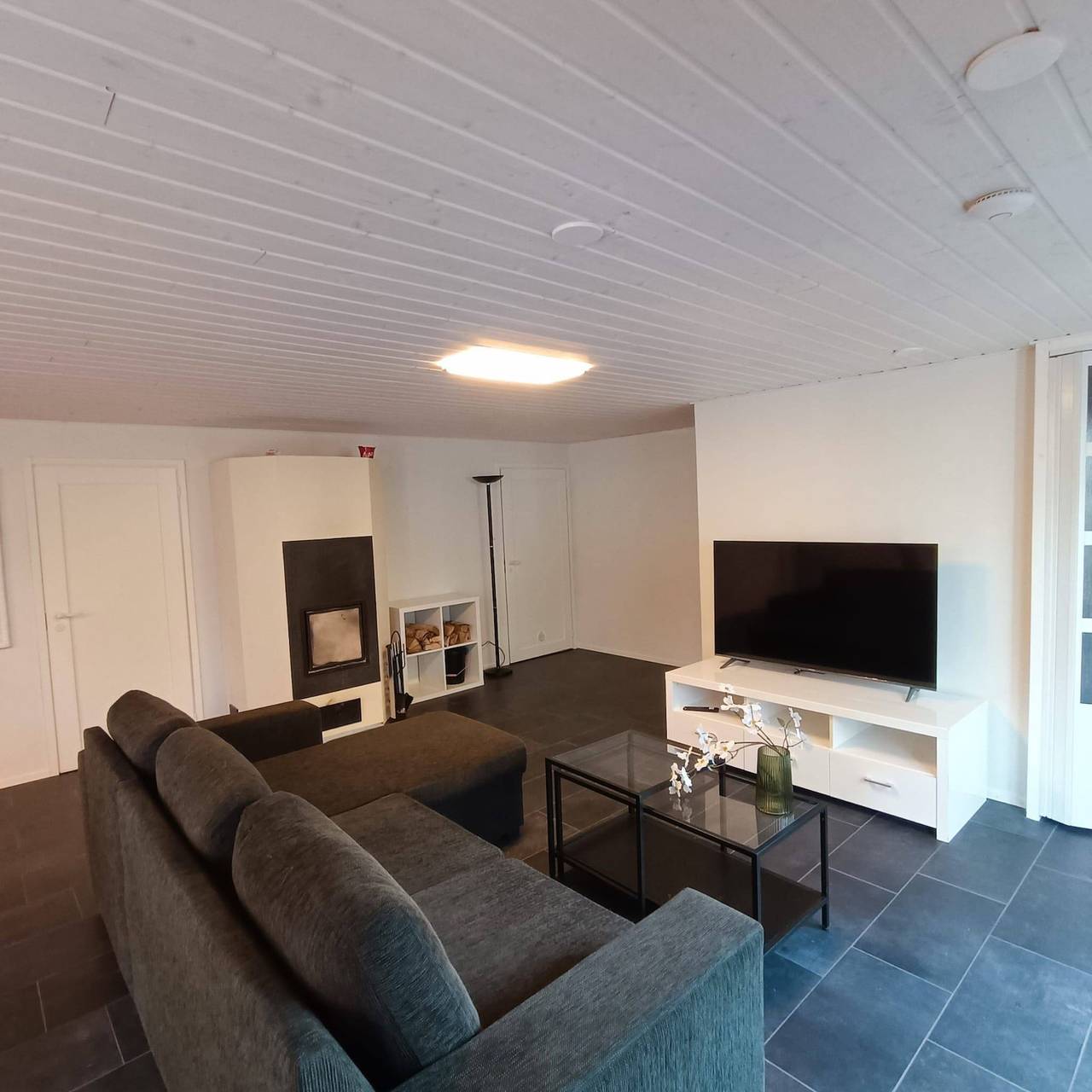 Ganze Wohnung, Großzügiges Luxusapartment in Eigentliche Häme