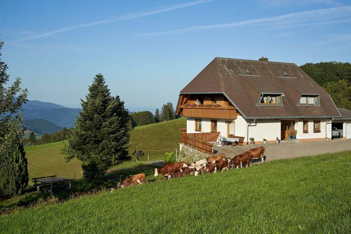 Ferienwohnung für 4 Personen, mit Balkon und Garten in Münstertal - 3