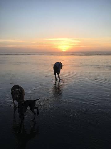 Vacation Home for 10 Guests in Cannon Beach, Clatsop County, Picture 1