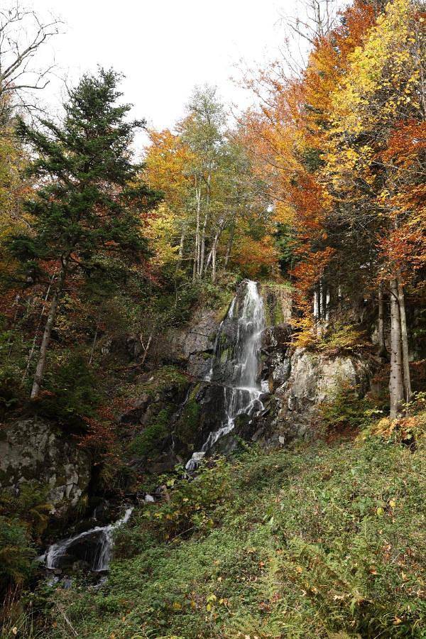 Location de vacances pour 2 personnes, avec jardin et vue à Le Hohwald - 3