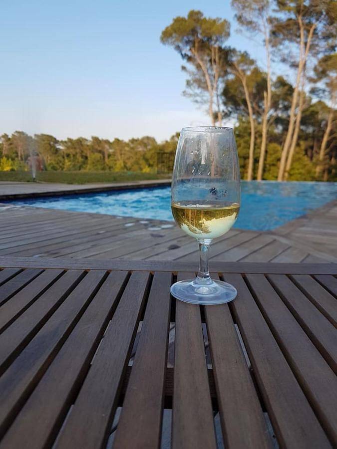 Villa pour 9 personnes, avec vue ainsi que jardin et piscine, animaux acceptés