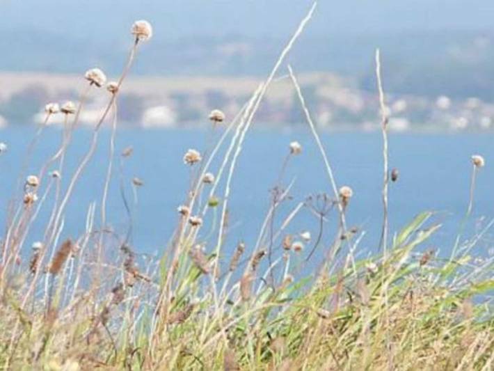 Ferienwohnung für 4 Personen, mit Terrasse, mit Haustier in Sagard - 4