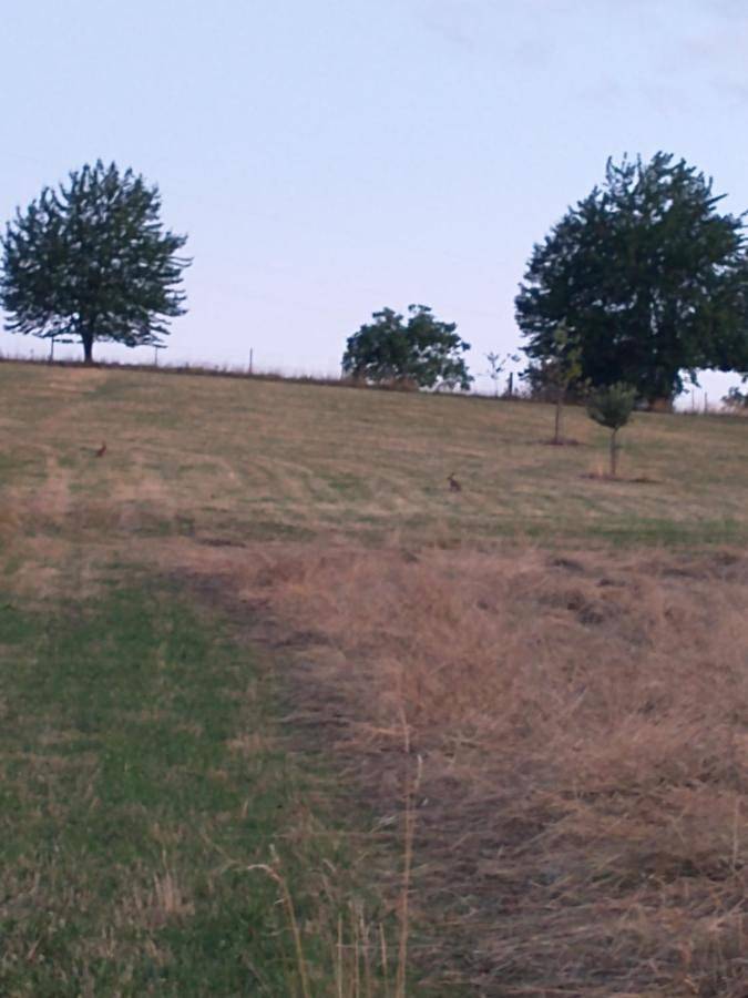 Private camping Vermietung auf dem Hof oder Natur-echt auf Wiese in Rimbach, Bergstraße