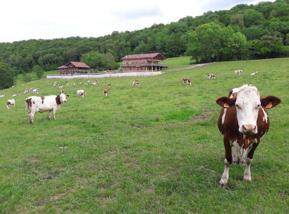 Gîte "Au Doubs Repos" à la ferme, piscine, calme, nature … in Vorges-les-Pins, Doubs