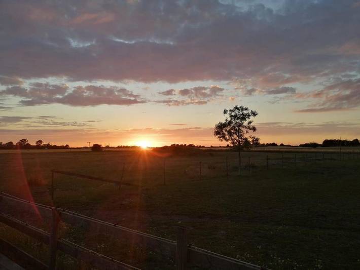 Ferienwohnung für 6 Personen, mit Ausblick und Garten, mit Haustier in Malmö - 4