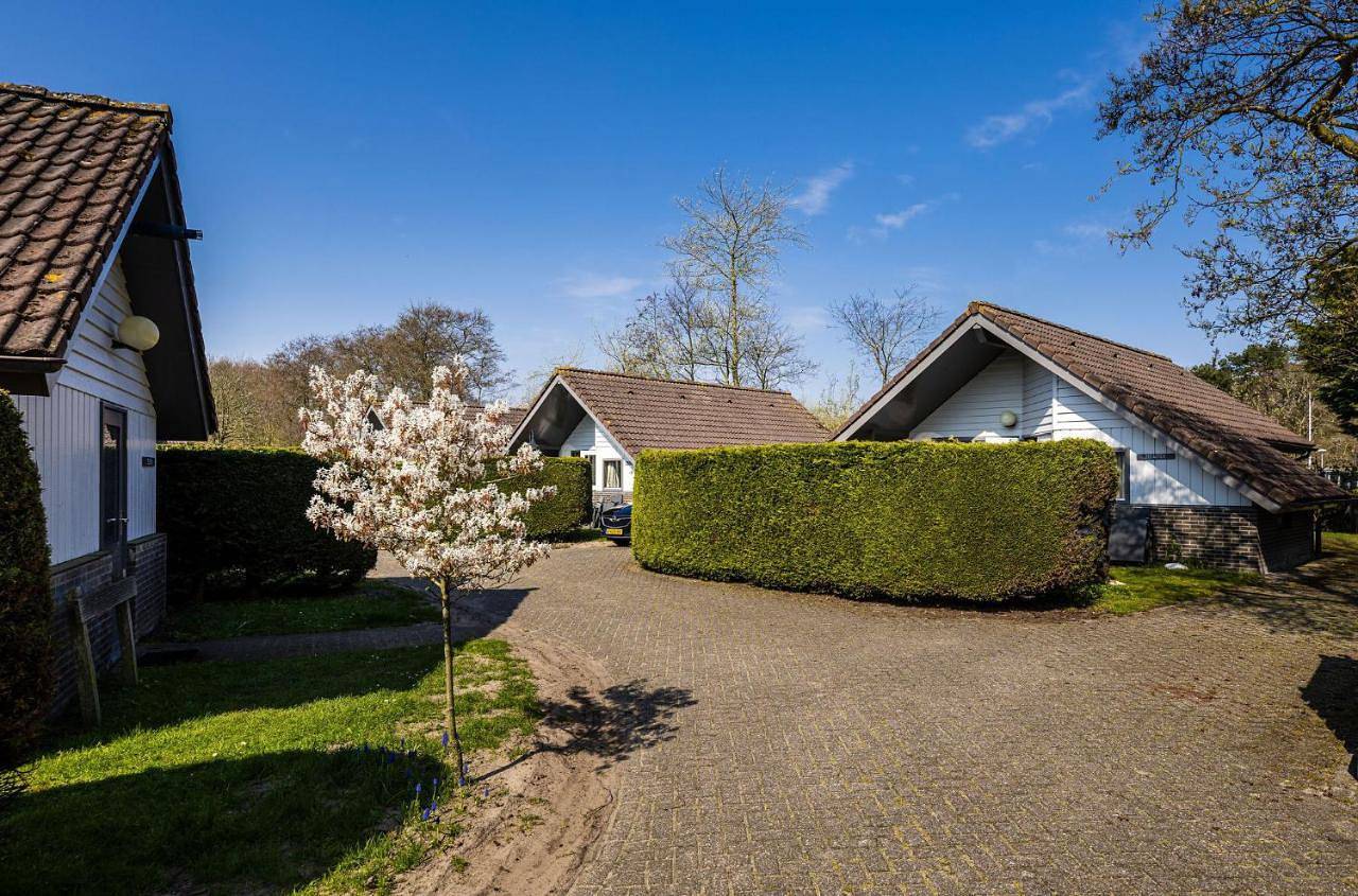 Zeebungalows Terschelling in Nederlandse waddeneilanden